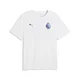 PUMA Premier League Reactivity Graphic Tee Men, Sport, White/Violet, XL