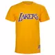 Los Angeles Lakers Mitchell & Ness Worn Logo HWC majica