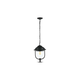 Spoljašnji luster na lancu 1xE27/60W/230V IP44 crni