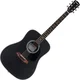 Pasadena PD-100 Black Akustična kitara (Kot novo)