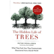 The Hidden Life Of Trees