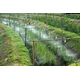 GEKO Vrtni škropilnik – vodna meglica zavesa 10m 2