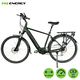 MS ENERGY električni bicikl c501 - veličina L