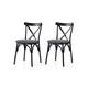 Hanah Home Set trpezarijskih stolica Ekol 288 V2, 2 komada, Tamnosivi