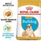 Royal Canin Suva hrana za pse Bulldog Puppy 3kg.