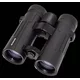 BRAUN Jumelles Braun Compagno 10x42 WP - vodoodporne, (5000511651)