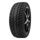 DELINTE zimska pnevmatika 245 / 45 R18 100V WD6