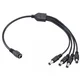 DC Cerberus konektor DC(M) 12V razdelnik 1-4