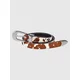 Another Cotton Lab Another Belt chocolate cow pattern