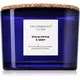 Vila Hermanos Apothecary Cobalt Blue Eucalyptus & Mint dišeča sveča 350 g
