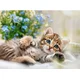 Ravensburger - Puzzle Prikupna mucka - 500 kosov