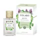 COLABO - GREEN C&B EDP 100ml