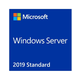 Microsoft Windows Server Standard 2019 64bit English 1pk DSP OEI DVD 16 core...