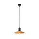 Redo 01-4054 - Luster na sajli FRESNO 1xE27/42W/230V prečnik 24 cm