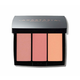Anastasia B.H. Blush Trio 9 g paleta rdečil (Odstín Berry Adore)