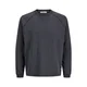 JACK & JONES Majica JCOGRAVITY pegasto črna