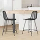 vidaXL Barski stol 2 pcs Črna 44,5 x 54,5 x 97,5 cm Ratan in železo