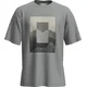 icebreaker Merino 150 Tech Lite SS Relax Tee Mtn Shi majica, proto grey (XXL)