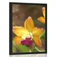 Plakat oranžna orhideja - 40x60 black