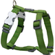 Red Dingo Oprsnica classic temno zelena M