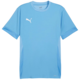 Dres Puma teamGOAL Matchday Jersey