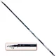 Lineaeffe Štap za pecanje Standard Master Bolognese, 5m