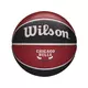 WILSON lopta za košarku NBA TEAM TRIBUTE CHICAGO BULLS, crvena