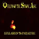 Queens Of The Stone Age Lullabies To Paralyze (2 LP)