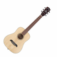 Alvarez RT26 Dreadnought Travel Sized