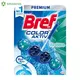 WC OSVE.BREF BLUE ACTIV EUCALIPTUS 50GR (10) HENKEL