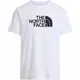 THE NORTH FACE Majica EVOLUTION HALF DOME črna/bela