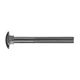 shumee NOSILNI VIJAK POCINKAN 82406 8*120MM