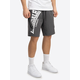 LONSDALE Športne hlače Alresford  temno siva / bela