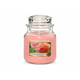 Yankee Candle Sveča Sun-Drenched Apricot Rose 411g