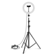 AVIZAR Obrocna lucka 25 cm, vrtljiva obrocasta lucka z držalom za pametni telefon in nastavljivim stojalom, (20630927)