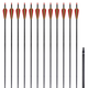 vidaXL Standardne savijene strijele za luk, 30, ugljične, 12 komada