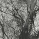 Grouper - Way Their Crept (Reissue) (LP)