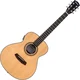 Pasadena PT-100E Natural Ostale elektro-akustične