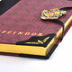 Harry Potter Gryffindor diary