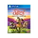 PS4 Spirit - Luckys Big Adventure