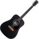 Pasadena PD-200 Black Akustična kitara