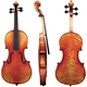 Violina 4/4 Maestro 56 Gewa – različni modeli
