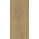 Stargres Keramična ploščica Varberg bež 30 cm x 60 cm