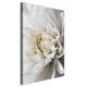 artgeist Slika Na Platnu White Dahlia