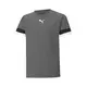 PUMA Funkcionalna majica TeamRise  temno siva / črna / bela
