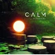 Various Artists - Calm Classical (180g) (2 LP)