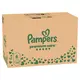 Pampers pelene Prem.Care monthly S6 13-18kg 140kom