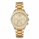 ura Ženski Michael Kors MK6187 (40 mm)