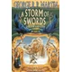 Storm of Swords: Part 2 Blood and Gold