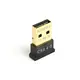BTD-MINI5 Bluetooth v 4.0 USB dongle